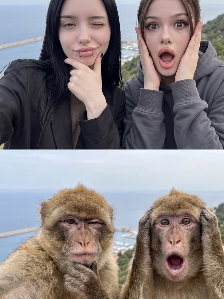 Zwei Fotos übereinander: Zwei junge Frauen schneiden in einem Selfie am Meer Grimassen, darunter zwei Affen, die dieselben Gesichter machen