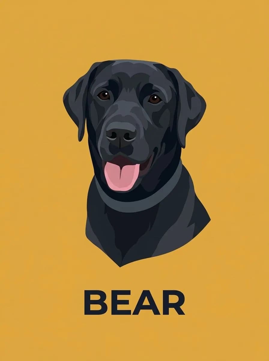 Flat illustration of a black Labrador with its tongue out and a plain collar on mustard yellow, the name BEAR below