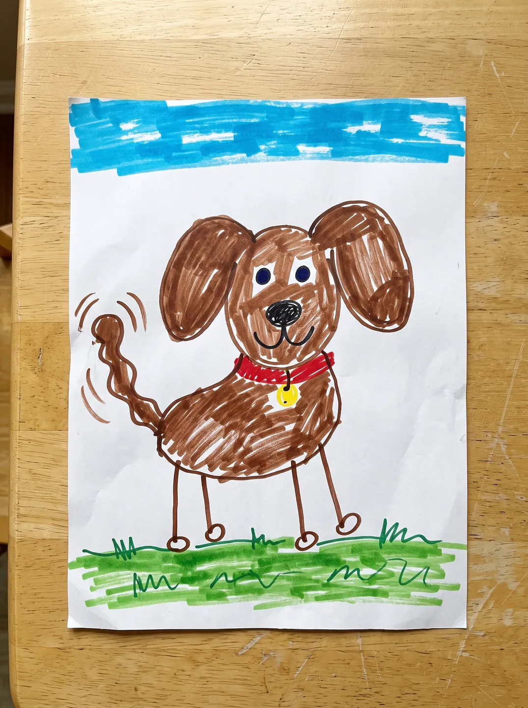 Marker drawing of a brown floppy-eared dog with a red collar on a sheet on a table, used as the input
